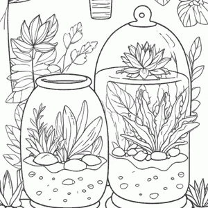 Botanical Terrariums