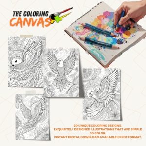 The Coloring Canvas   Wings of Freedom Coloring Book